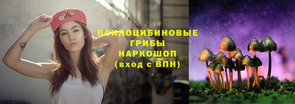 крисы Абинск