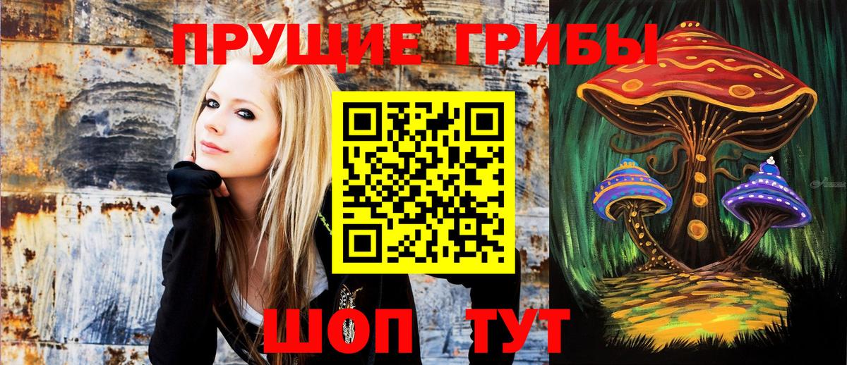 Заволжье  Псилоцибиновые грибы Psilocybe  Псилоцибиновые грибы мухоморы  Вход с VPN 